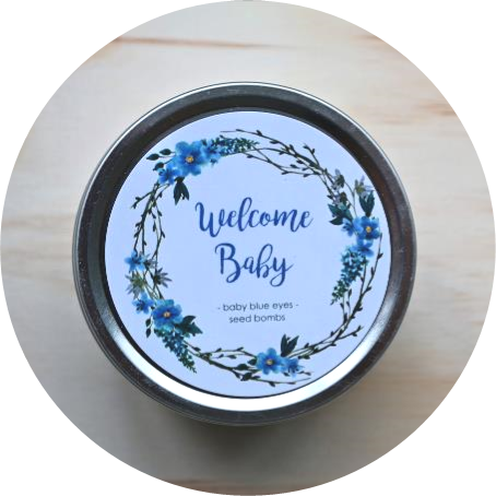 – Welcome, Baby – <br> baby blue eyes seed bombs