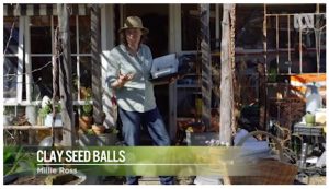 Gardening Australia makes seed bombs