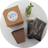seed bombs, seeds, seed balls, seed gift, gifts that grow, seed present, seed bomb kit, diy, make your own seed bomb