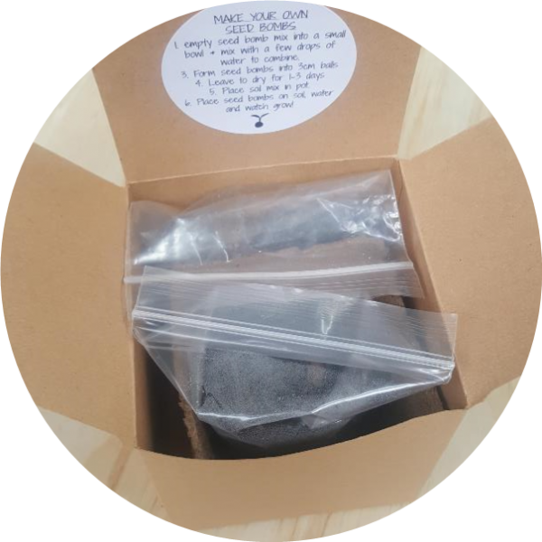 – Seed Bomb Kit – <br> Floral mix