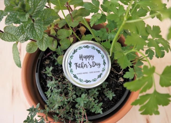 father's day, happy father's day, seed bombs, unique gift, mint, parsley, thyme, oregano, mixed herbs
